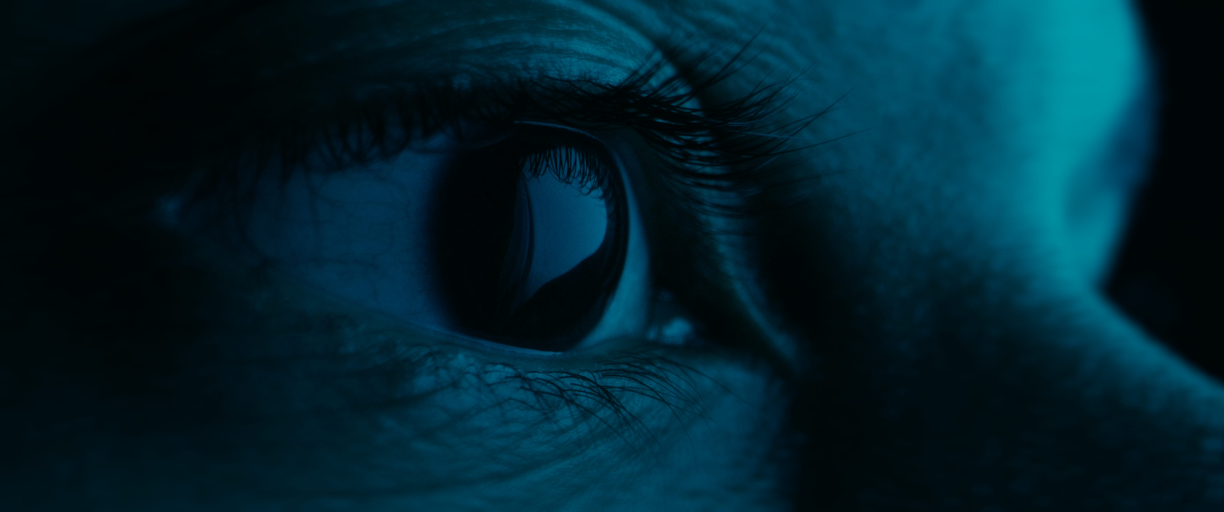 ewear-02_1.6.1